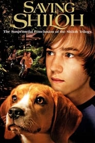 Image Shiloh 3