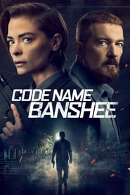 Image Codinome Banshee