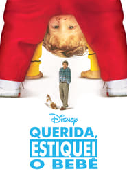 Image Querida, Estiquei o Bebê