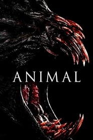 Image Animal