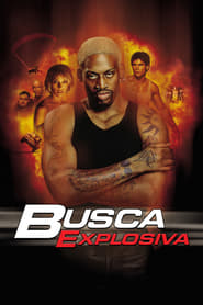 Image Busca Explosiva