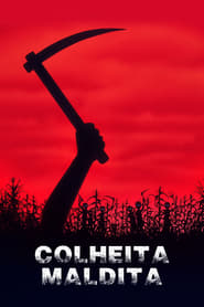 Image Colheita Maldita