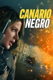 Image Canário Negro