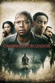 Image Caminhos Cruzados