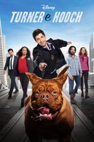 Image Turner e Hooch
