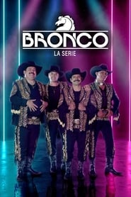 Image Bronco