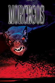 Image Morcegos