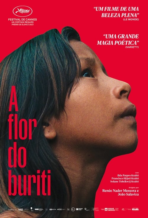 Image A Flor do Buriti