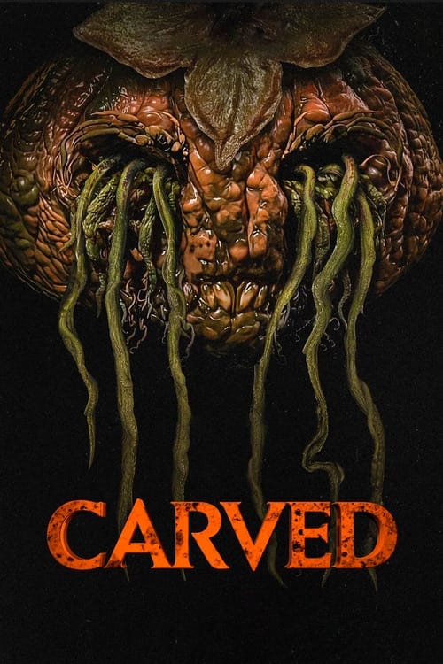 Image Carved
