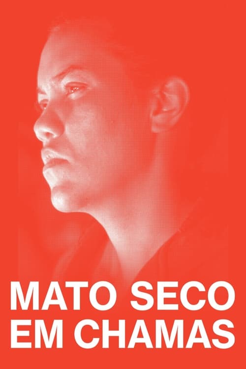 Image Mato Seco em Chamas