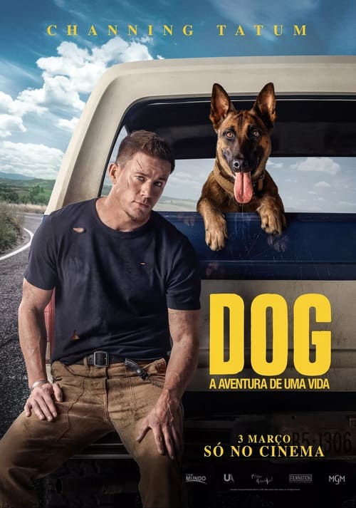 Image Dog: A Aventura de uma Vida